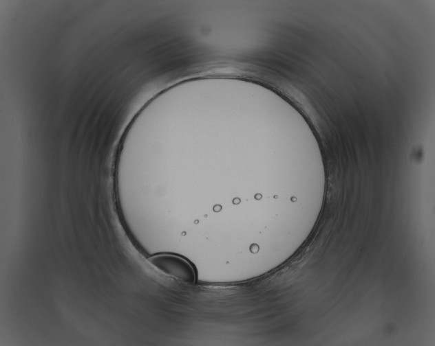X0000089391483200707131709