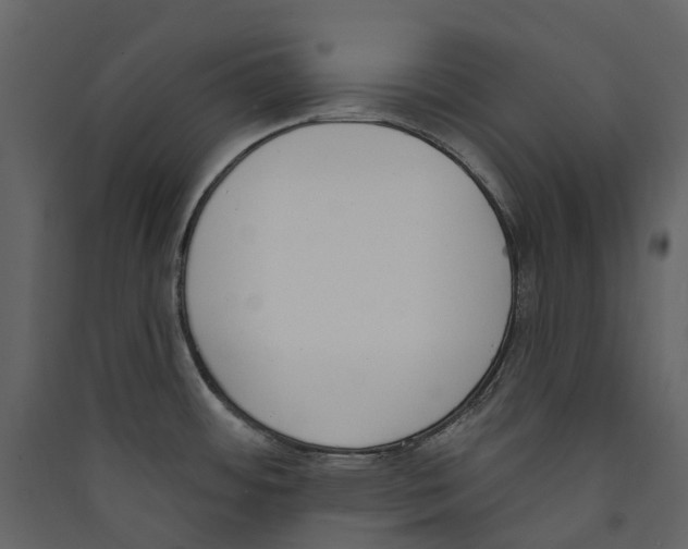 X0000089391484200707131709