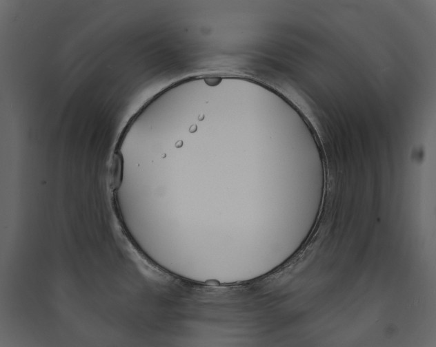 X0000089391485200707131709