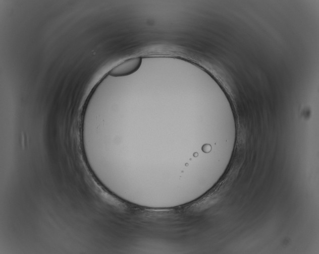 X0000089391486200707131709