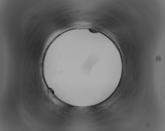 X0000089391488200707131709