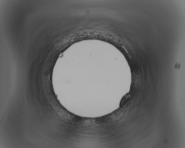 X0000089391489200707131708