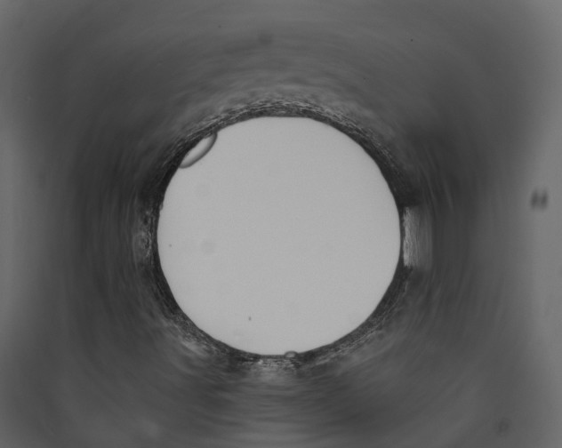 X0000089391491200707131708