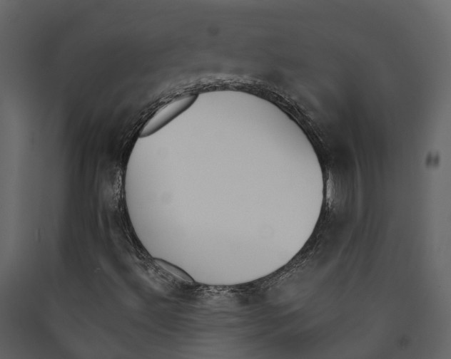 X0000089391492200707131708