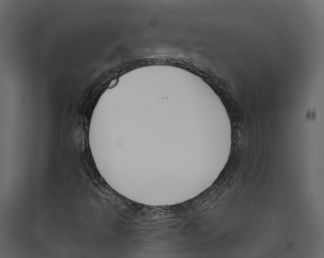 X0000089391493200707131708