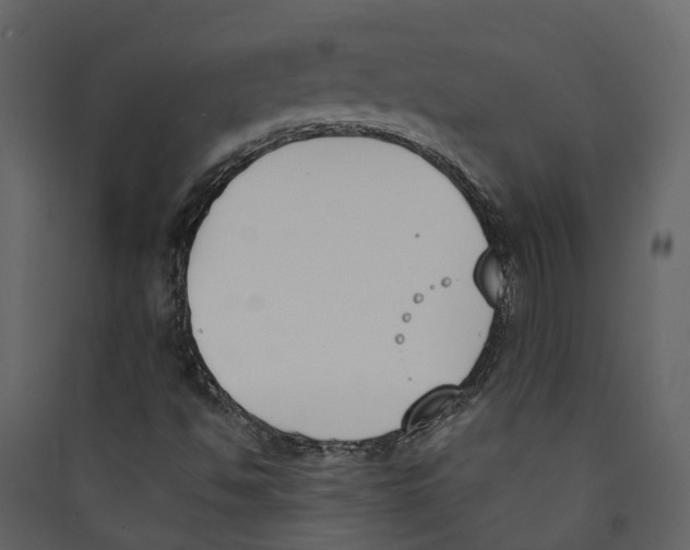 X0000089391494200707131708