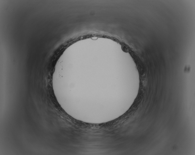 X0000089391495200707131708