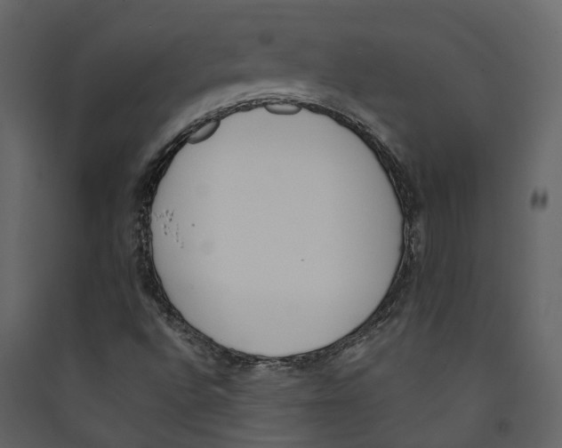 X0000089391496200707131708