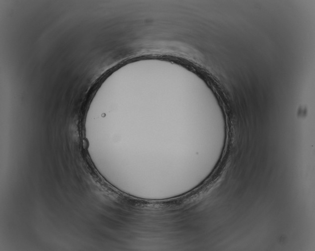 X0000089391497200707131708