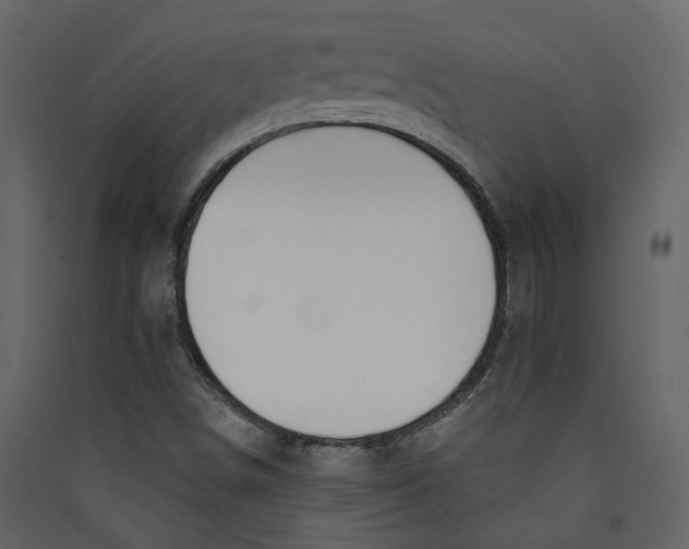 X0000089391498200707131708