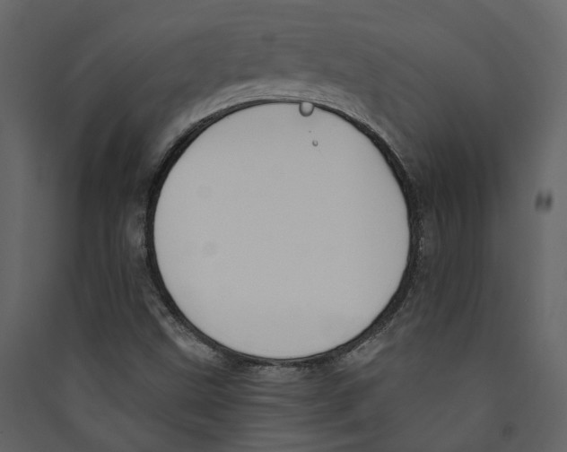 X0000089391499200707131708