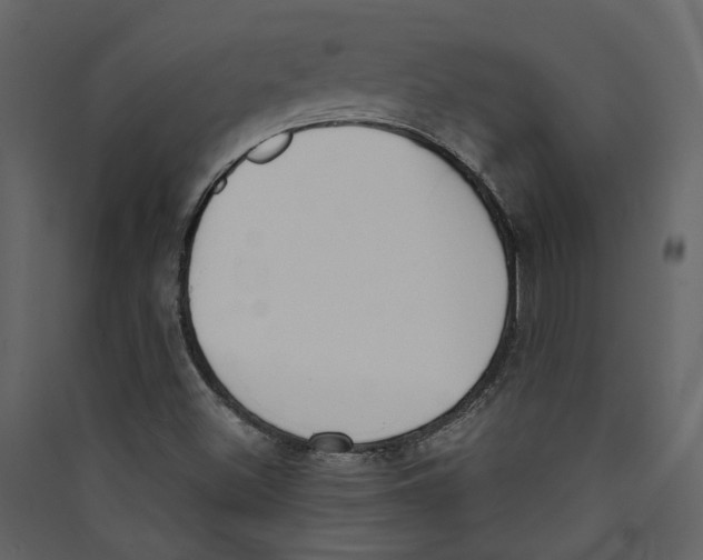 X0000089391500200707131708