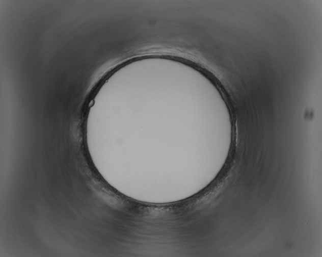 X0000089391501200707131708