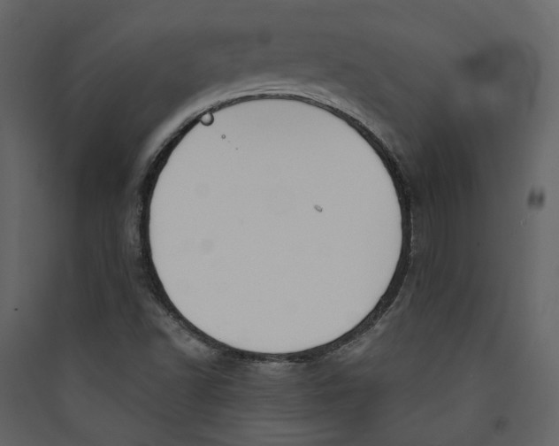X0000089391502200707131708
