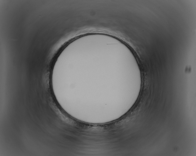 X0000089391503200707131708