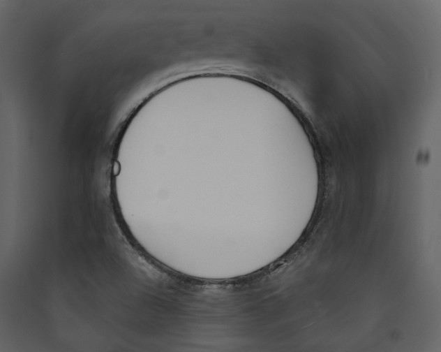 X0000089391504200707131709