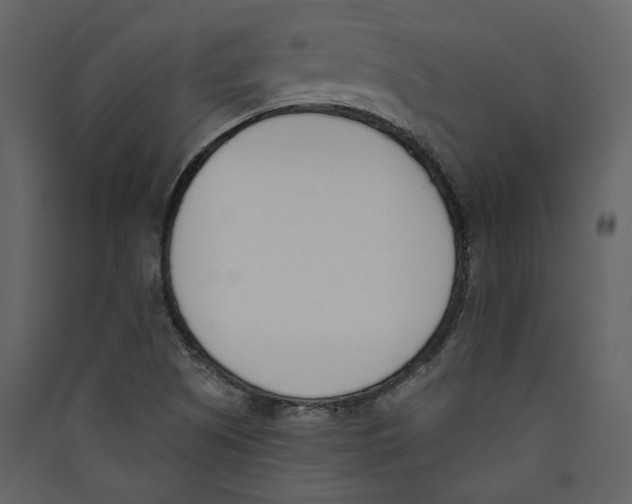 X0000089391505200707131709