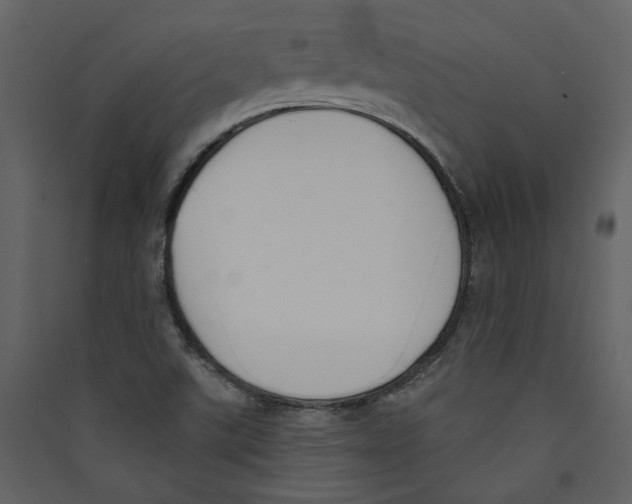 X0000089391507200707131709