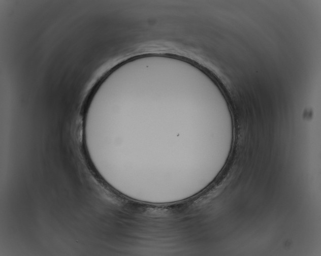 X0000089391509200707131709