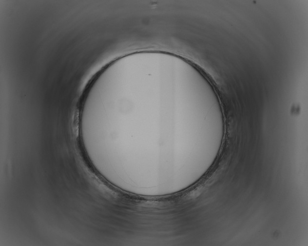 X0000089391510200707131709