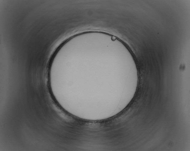 X0000089391511200707131709