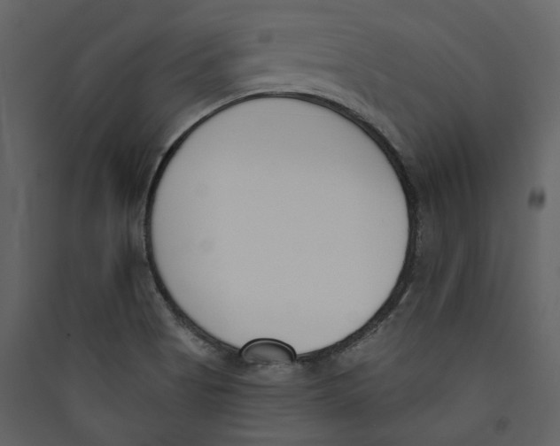 X0000089391513200707131709