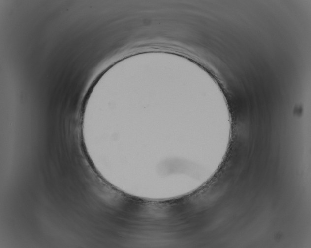 X0000089391514200707131709