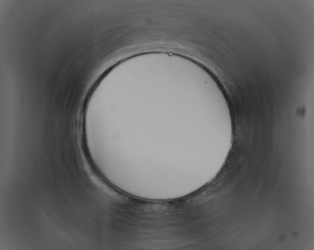 X0000089391515200707131709
