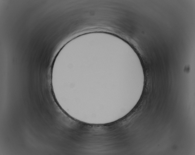 X0000089391516200707131709
