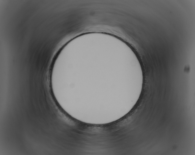 X0000089391517200707131709