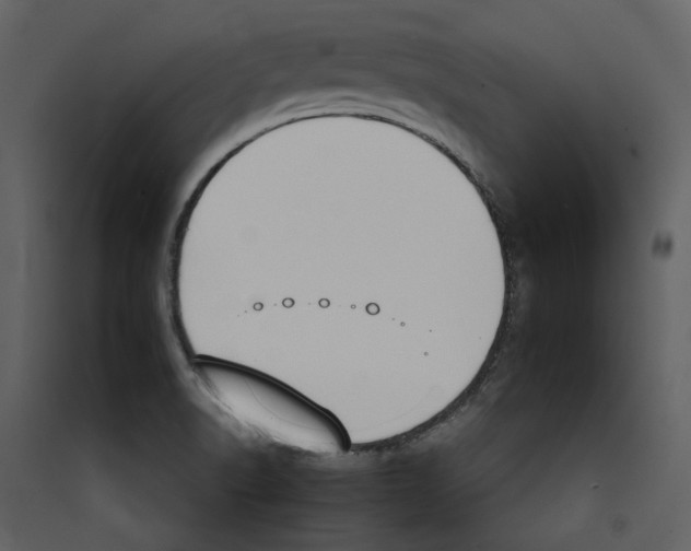 X0000089391518200707131709