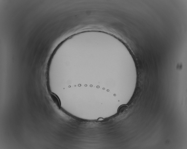 X0000089391519200707131709