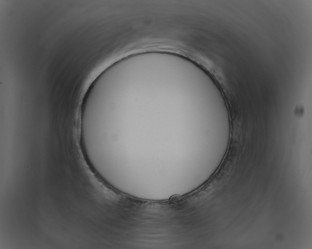 X0000089391520200707131709