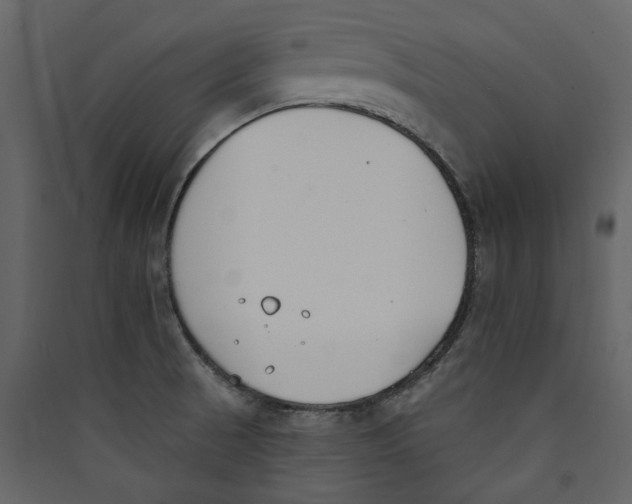 X0000089391521200707131709