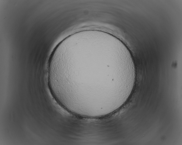 X0000089391522200707131709