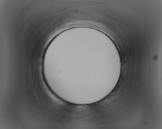X0000089391523200707131709