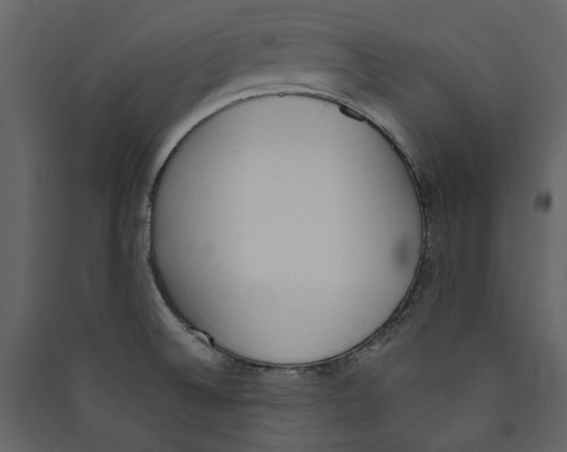 X0000089391524200707131709