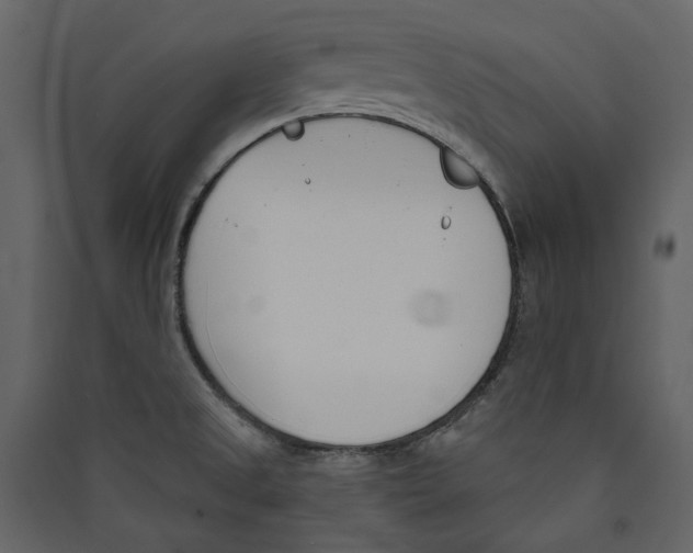 X0000089391525200707131709