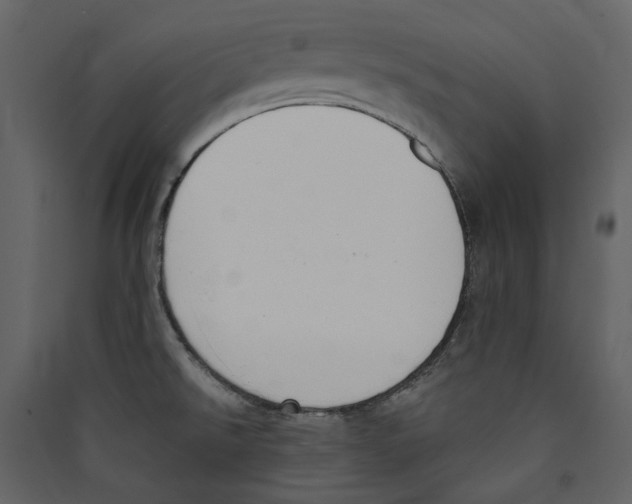 X0000089391526200707131709