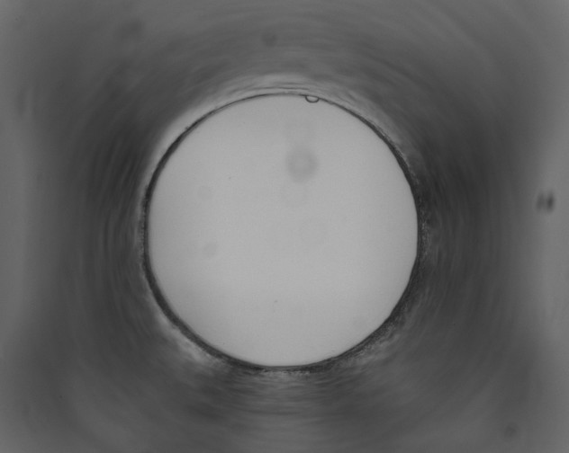 X0000089391527200707131709