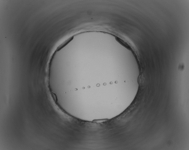 X0000089391528200707131709