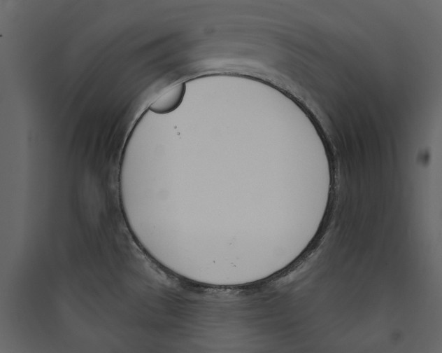 X0000089391529200707131709