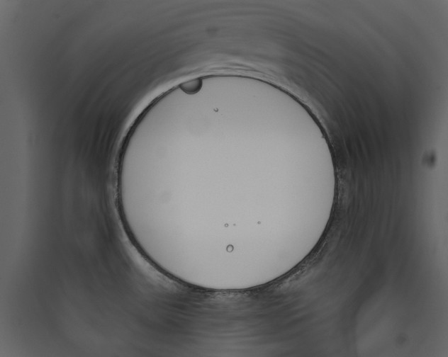 X0000089391531200707131709