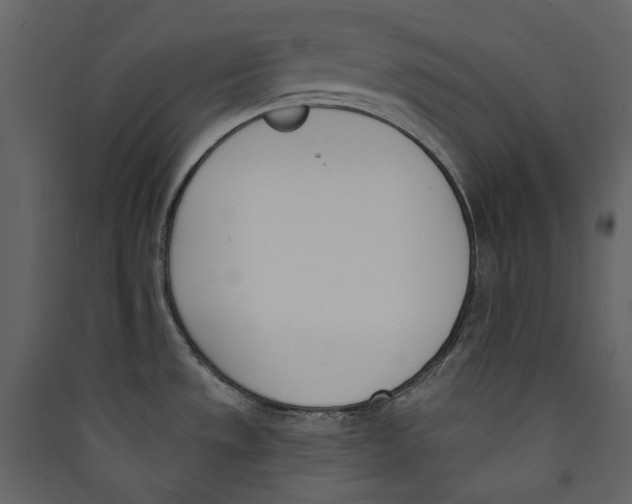X0000089391533200707131709