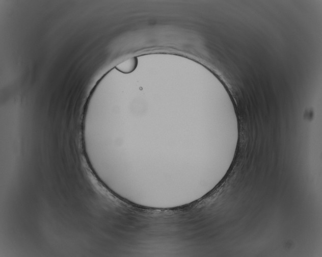 X0000089391534200707131709