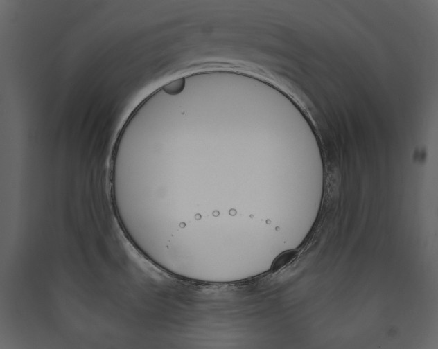 X0000089391535200707131709