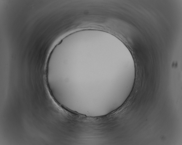 X0000089391536200707131709