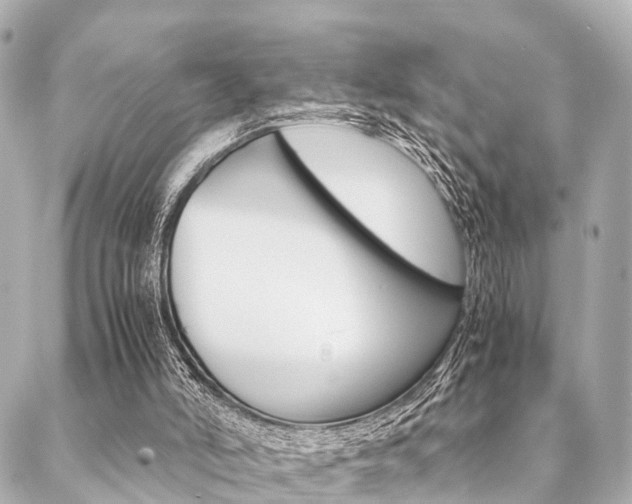 X0000089400006200706150926