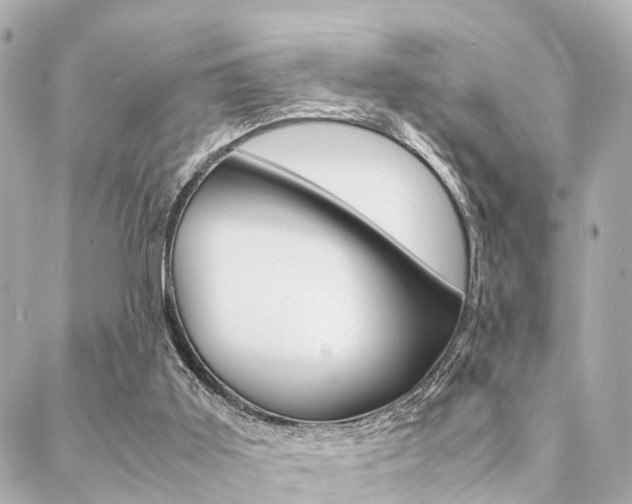 X0000089400011200706150926