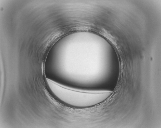 X0000089400013200706150926